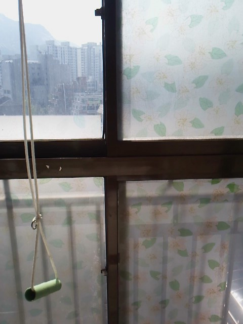 사용자 삽입 이미지