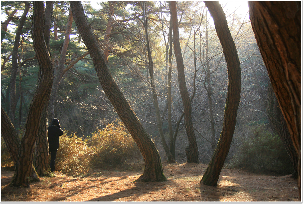 사용자 삽입 이미지