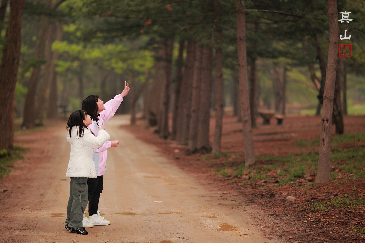 사용자 삽입 이미지