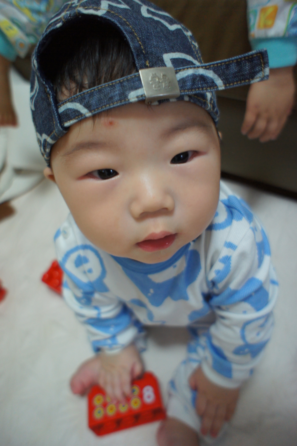 사용자 삽입 이미지