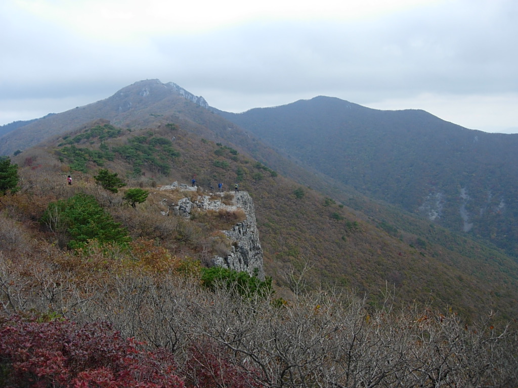 사용자 삽입 이미지