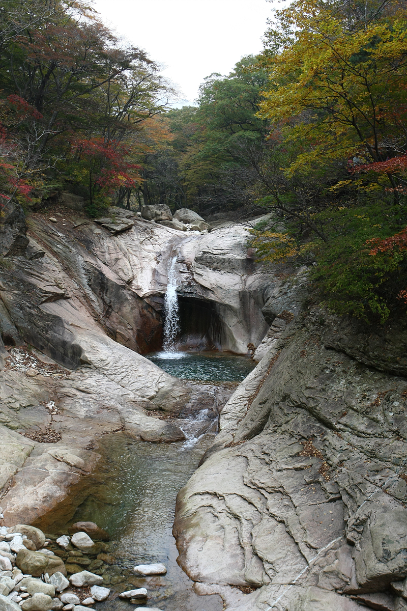 사용자 삽입 이미지