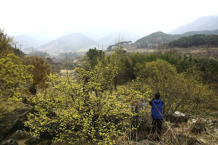 사용자 삽입 이미지