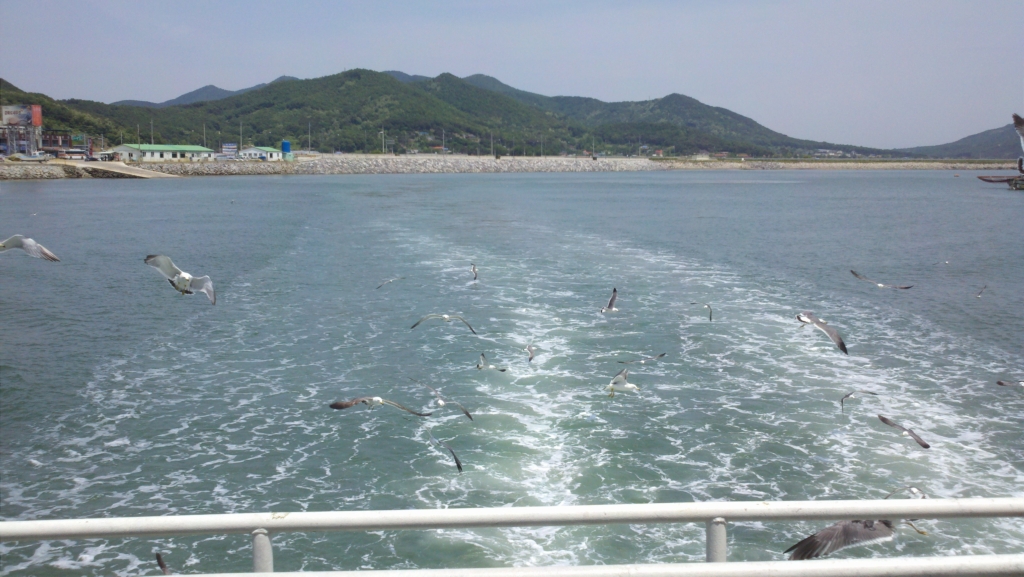 사용자 삽입 이미지