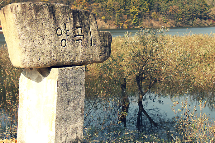 사용자 삽입 이미지