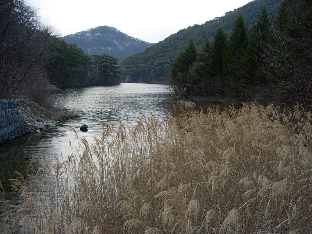 사용자 삽입 이미지
