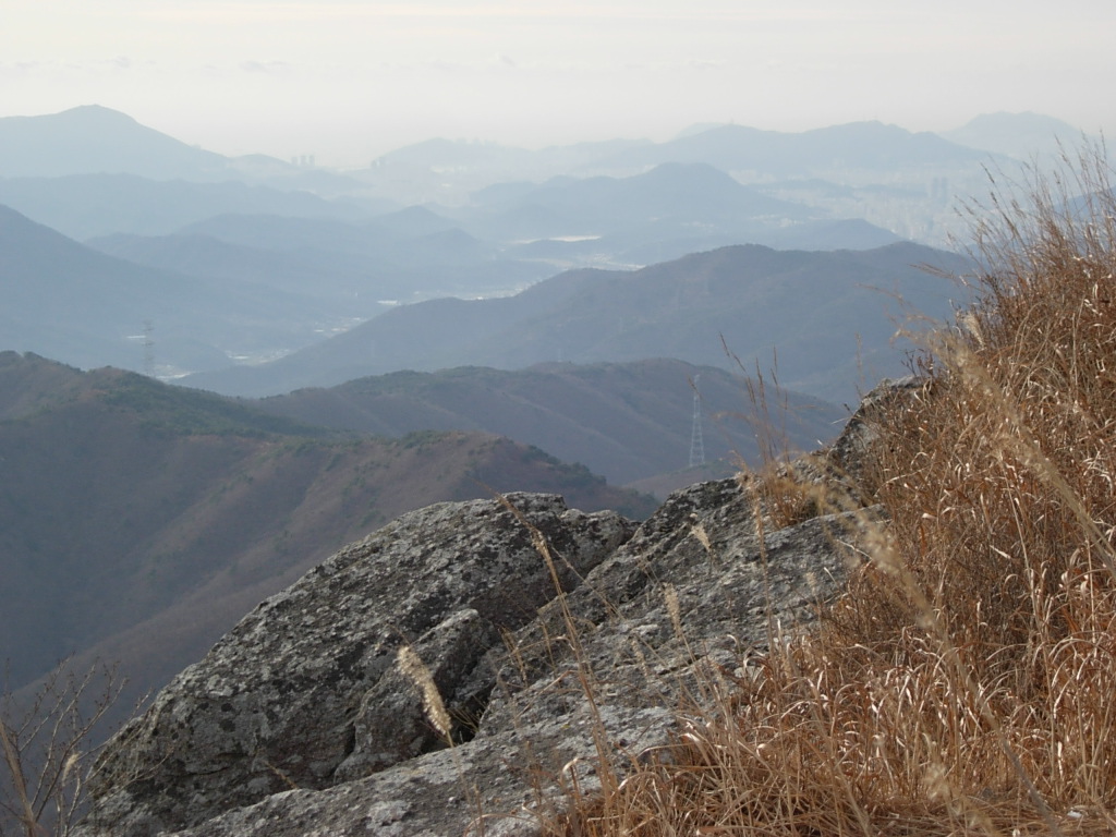 사용자 삽입 이미지