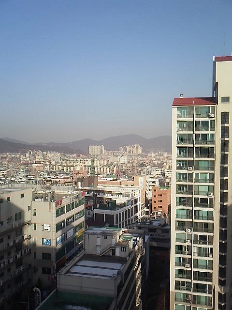 사용자 삽입 이미지