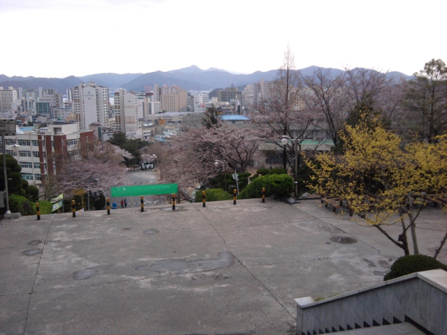 사용자 삽입 이미지