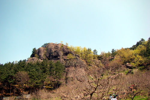 사용자 삽입 이미지