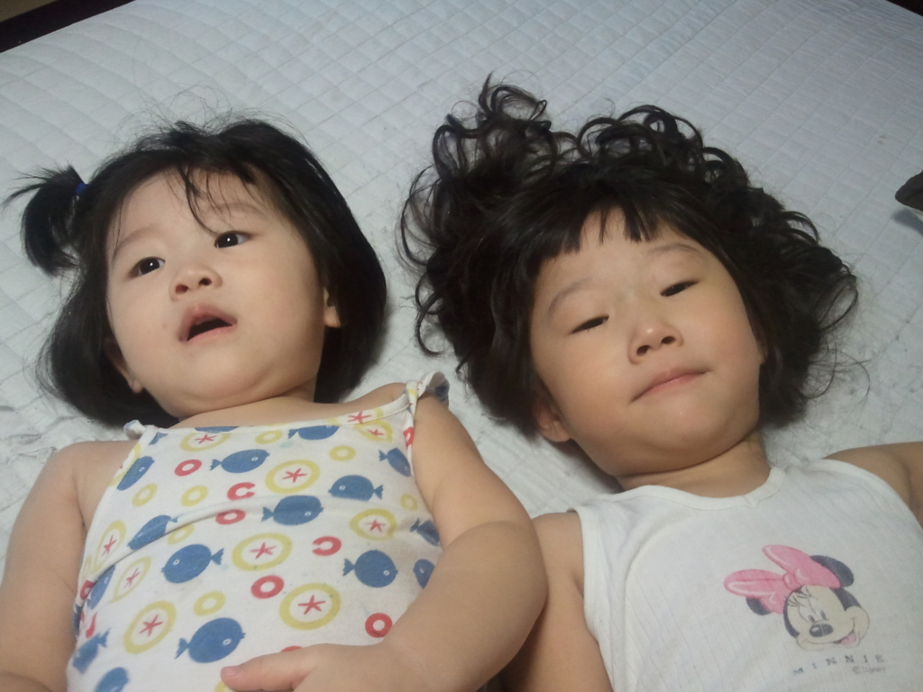 사용자 삽입 이미지