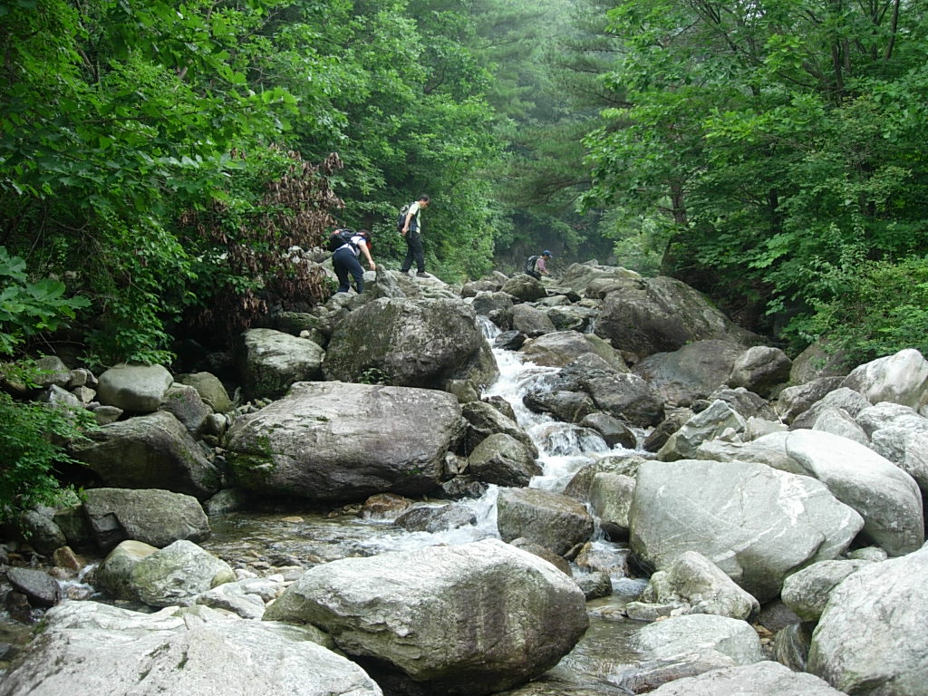 사용자 삽입 이미지