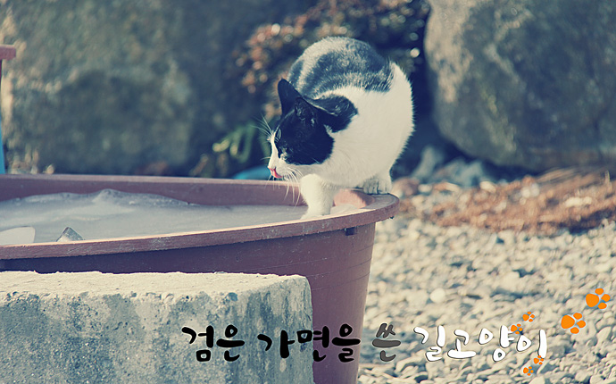 사용자 삽입 이미지