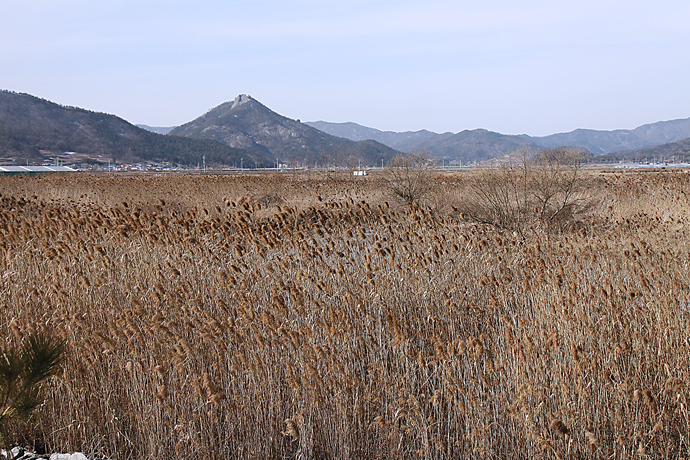 사용자 삽입 이미지