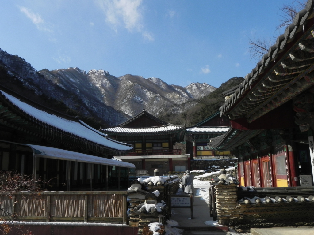 사용자 삽입 이미지
