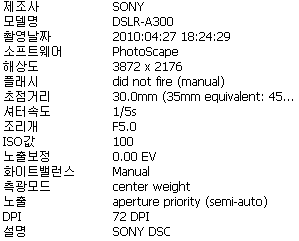 사용자 삽입 이미지