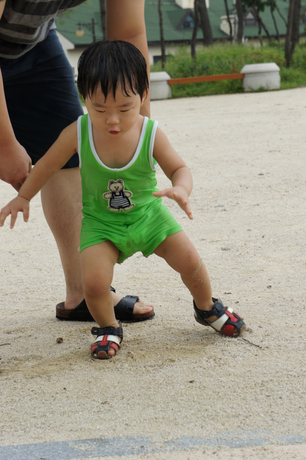 사용자 삽입 이미지