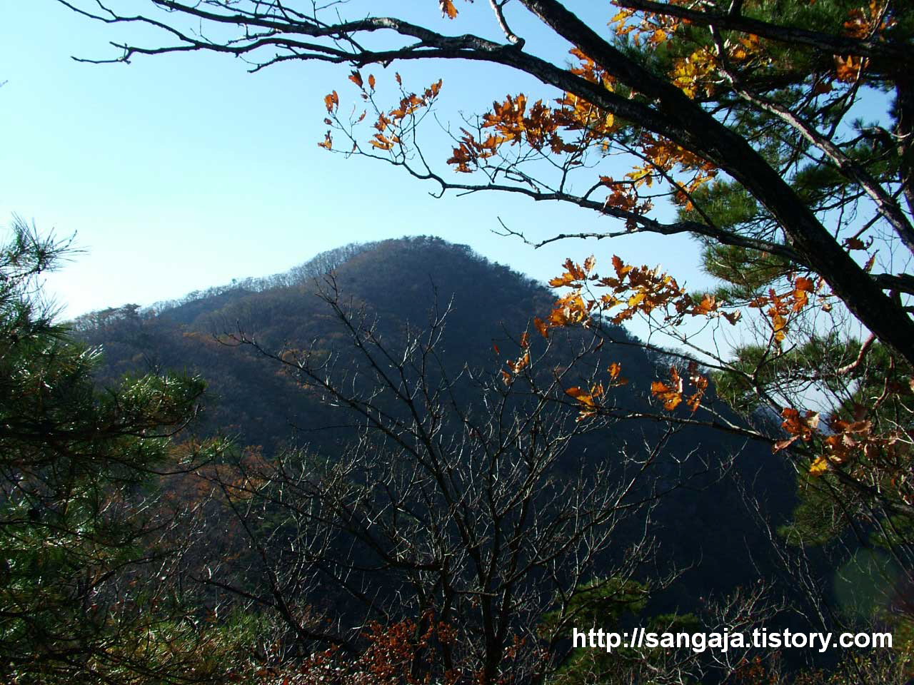 사용자 삽입 이미지