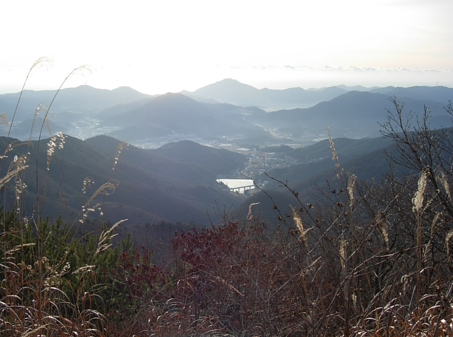 사용자 삽입 이미지
