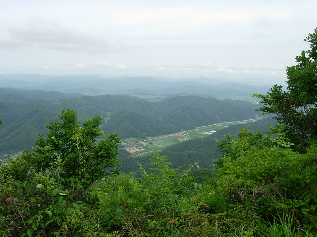 사용자 삽입 이미지