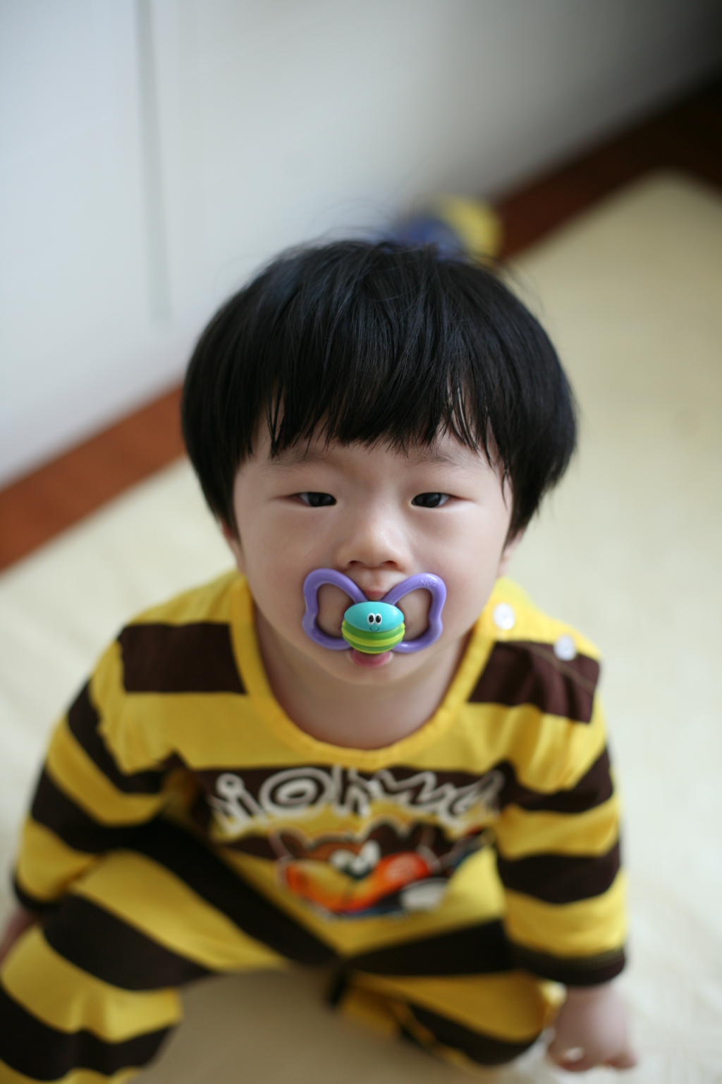 사용자 삽입 이미지