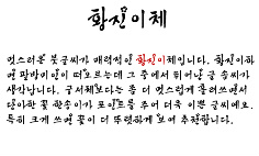 사용자 삽입 이미지