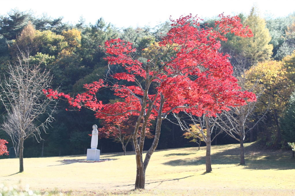 사용자 삽입 이미지