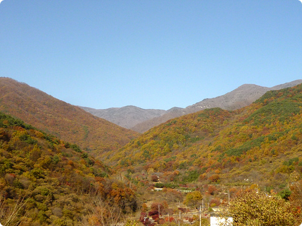 사용자 삽입 이미지