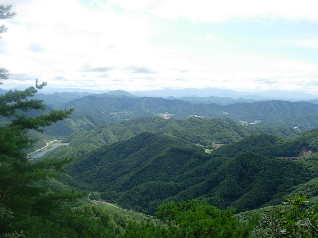 사용자 삽입 이미지