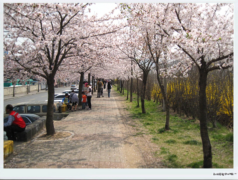 사용자 삽입 이미지