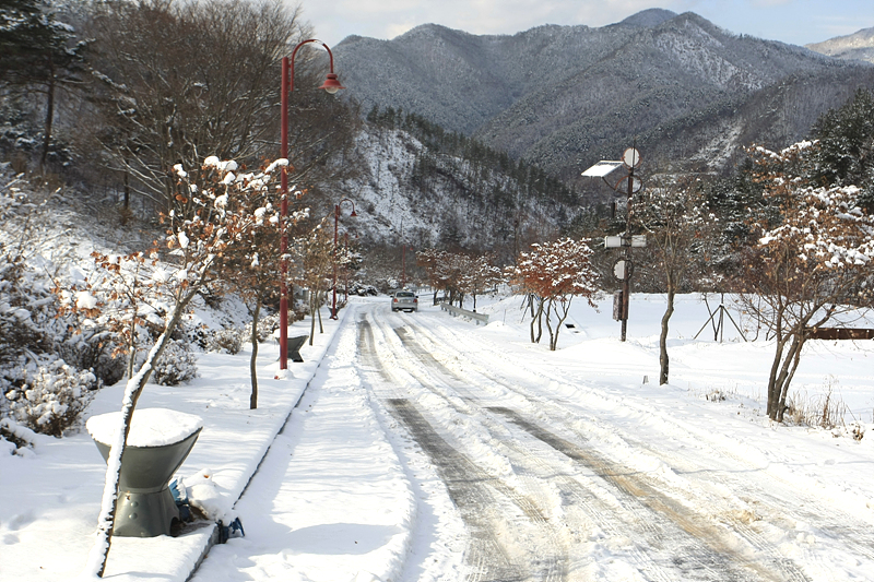 사용자 삽입 이미지