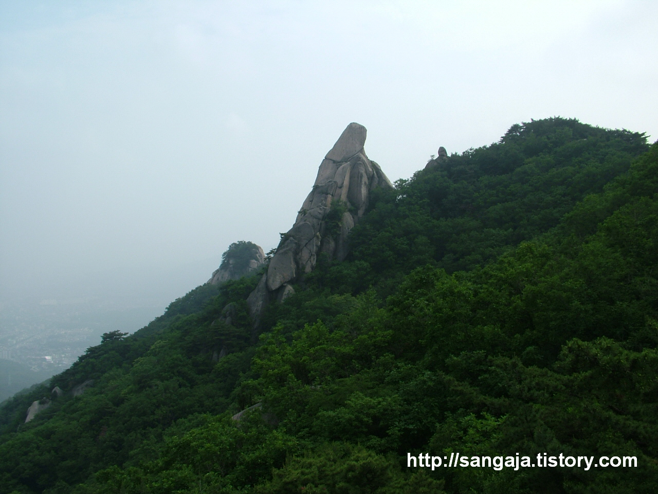 사용자 삽입 이미지