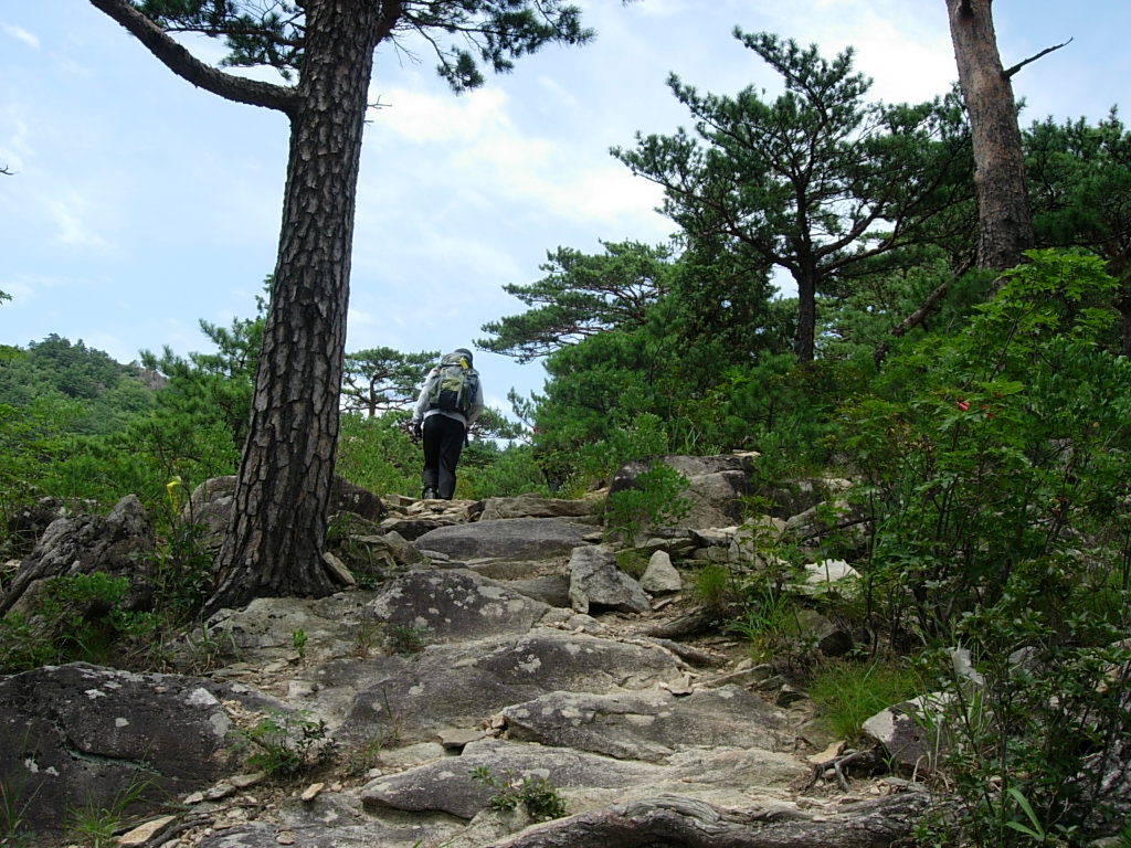 사용자 삽입 이미지