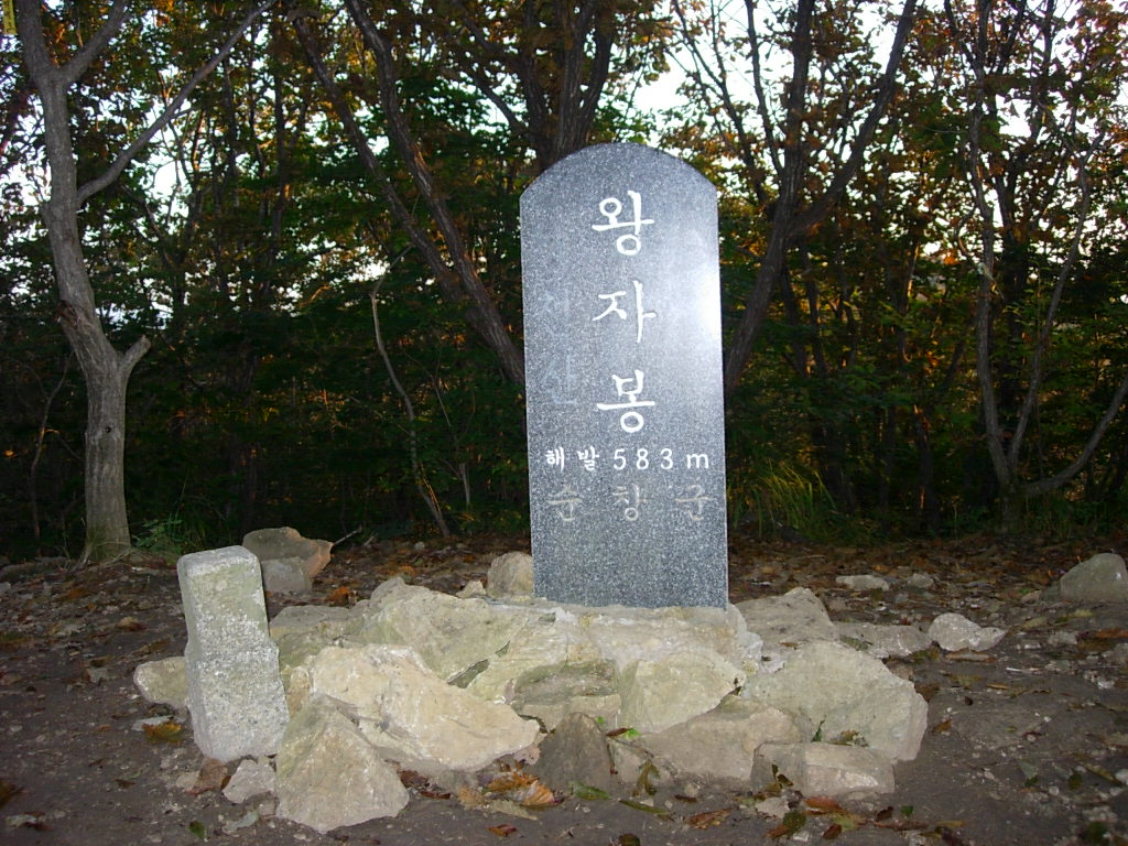 사용자 삽입 이미지