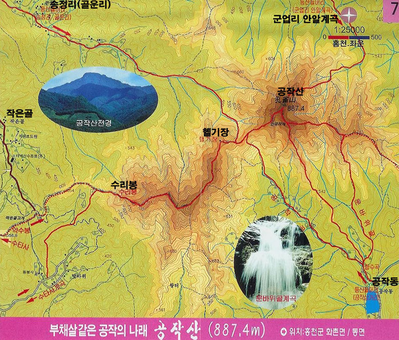 사용자 삽입 이미지