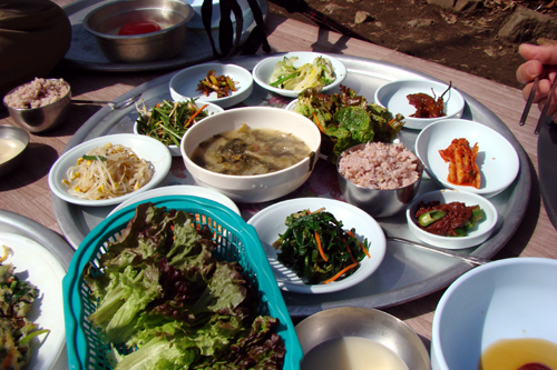 사용자 삽입 이미지