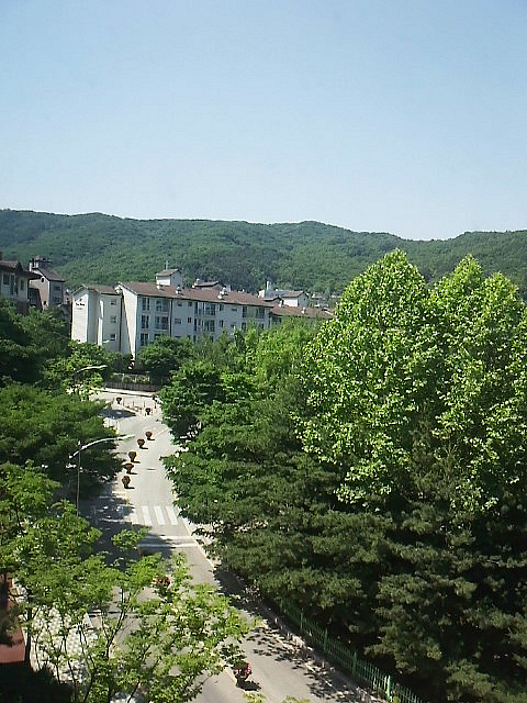 사용자 삽입 이미지