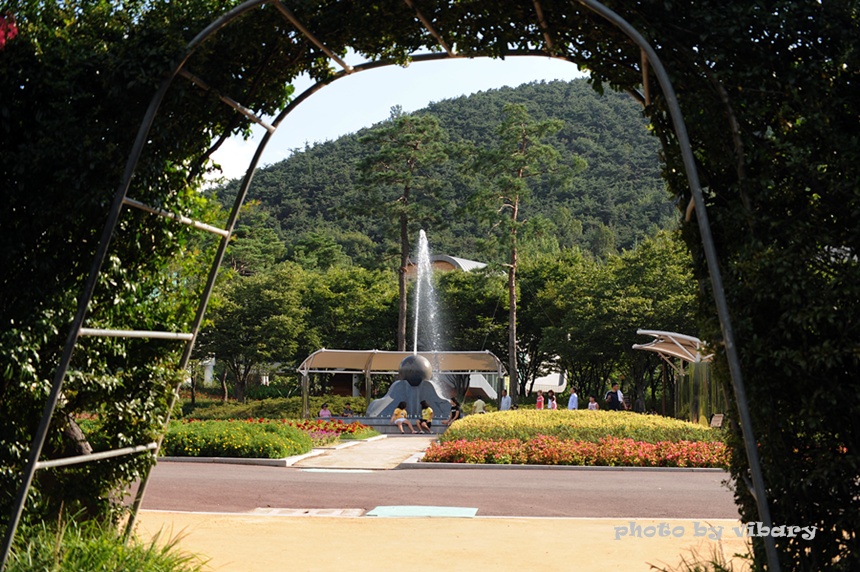 사용자 삽입 이미지