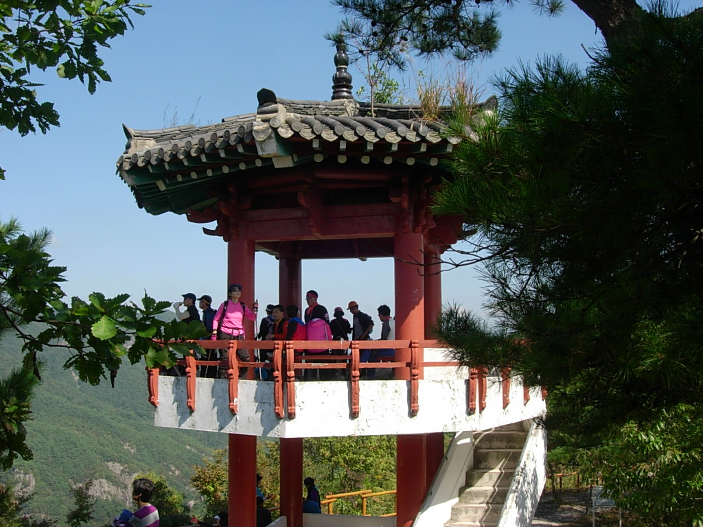 사용자 삽입 이미지