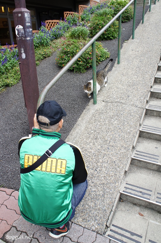 사용자 삽입 이미지