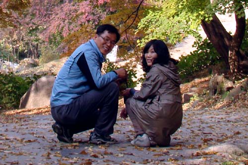 사용자 삽입 이미지