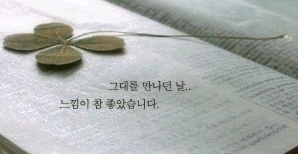 사용자 삽입 이미지