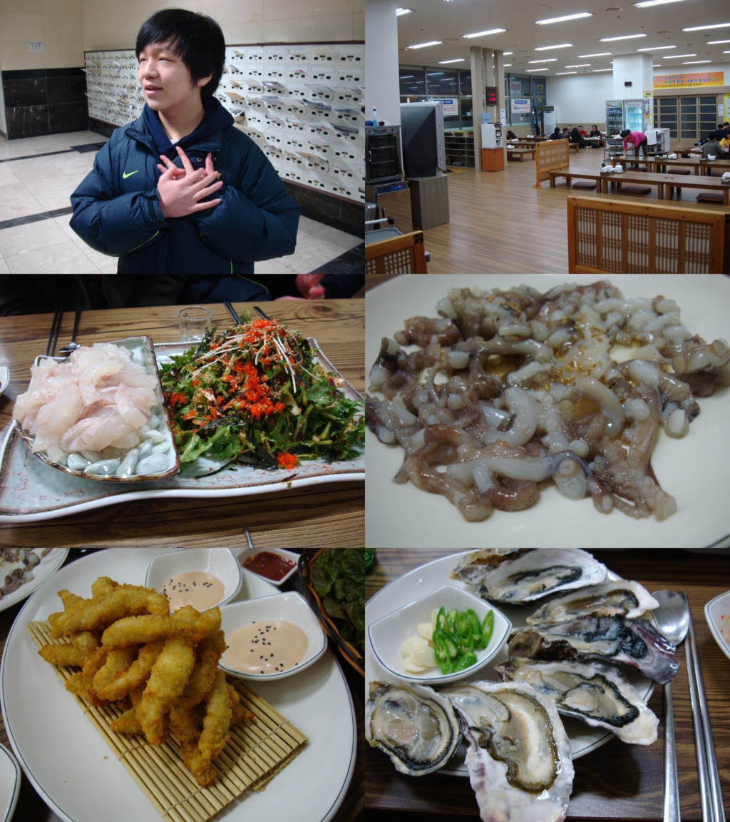 사용자 삽입 이미지