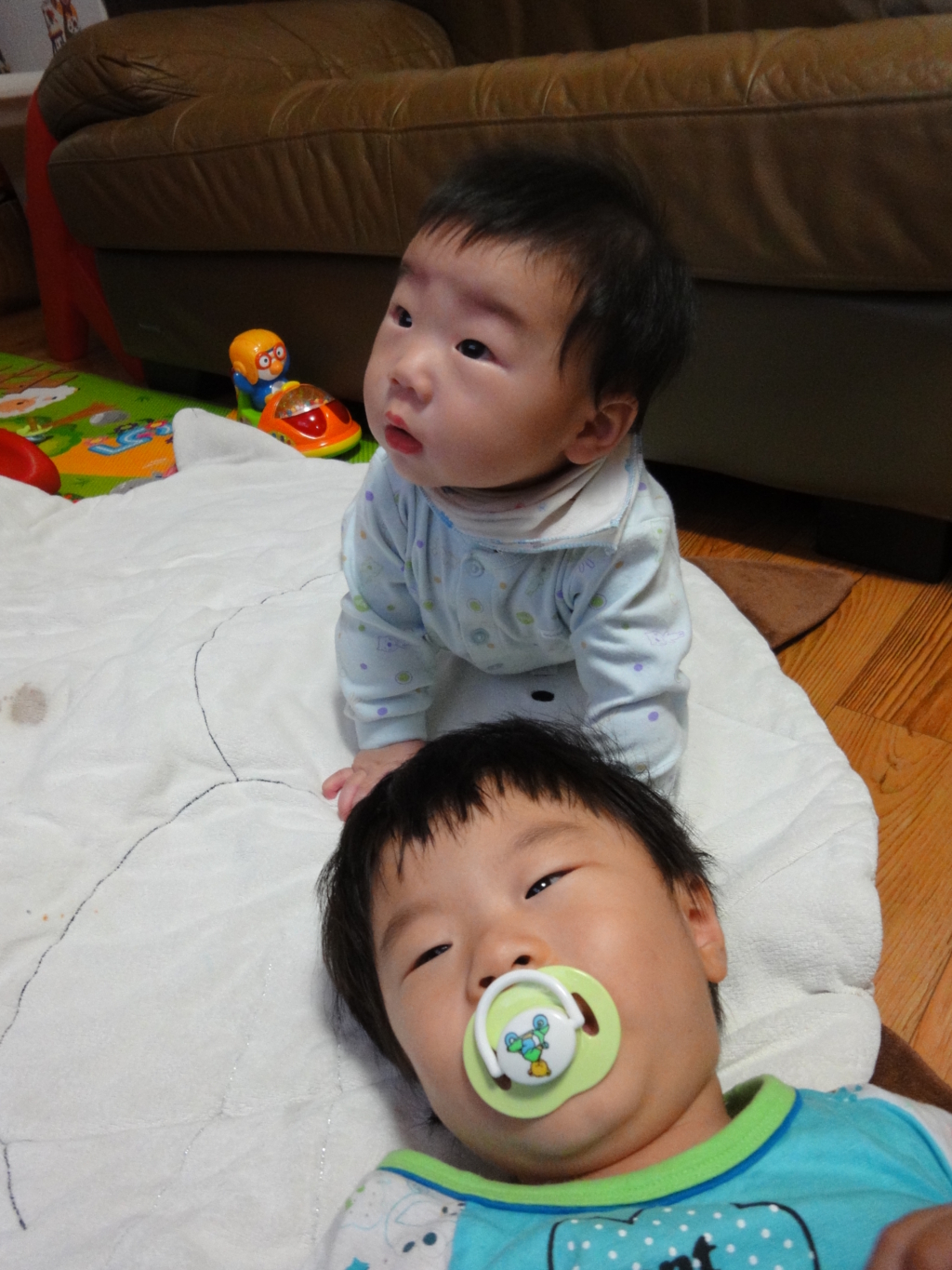 사용자 삽입 이미지