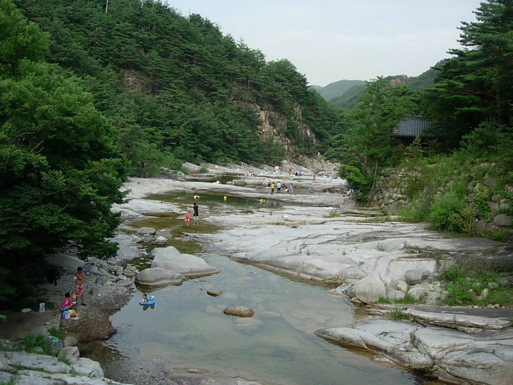 사용자 삽입 이미지