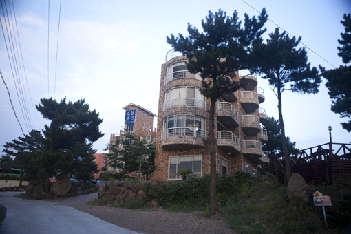 사용자 삽입 이미지