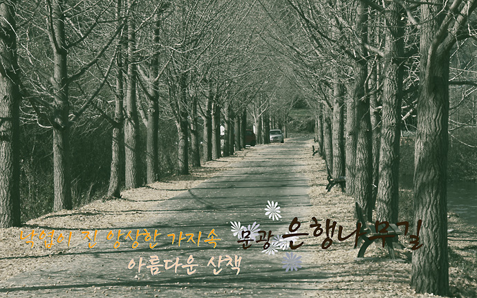 사용자 삽입 이미지