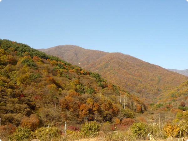 사용자 삽입 이미지