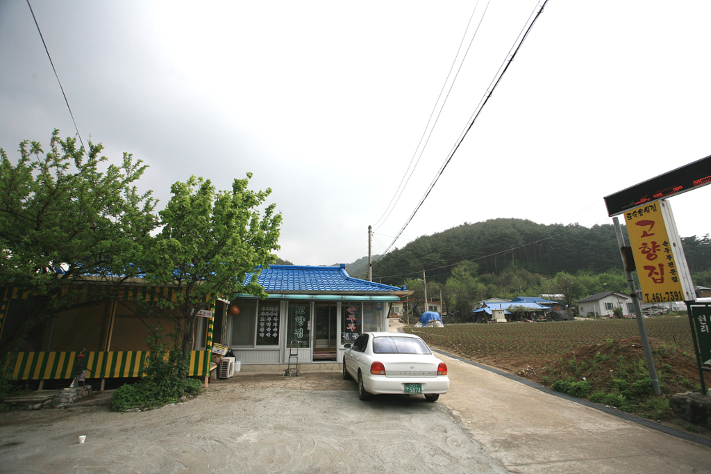 사용자 삽입 이미지