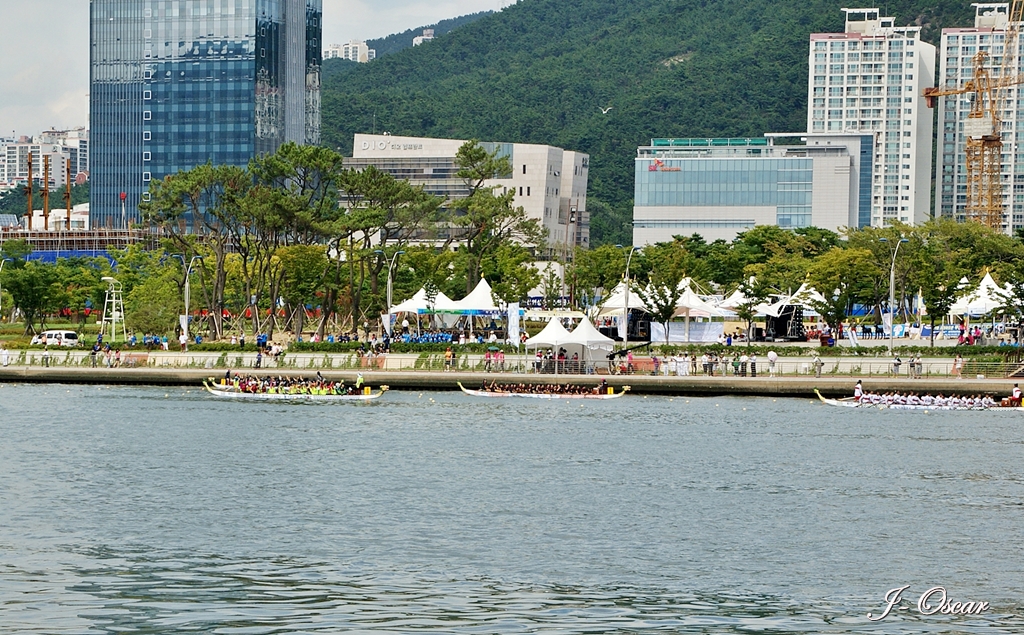 드래곤보트,dragon boats